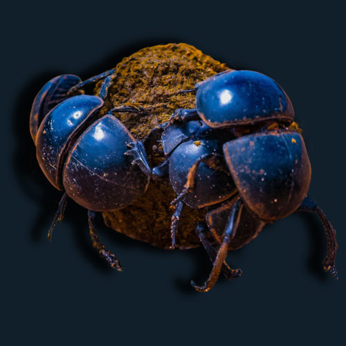 Team work, client collaboration, working together