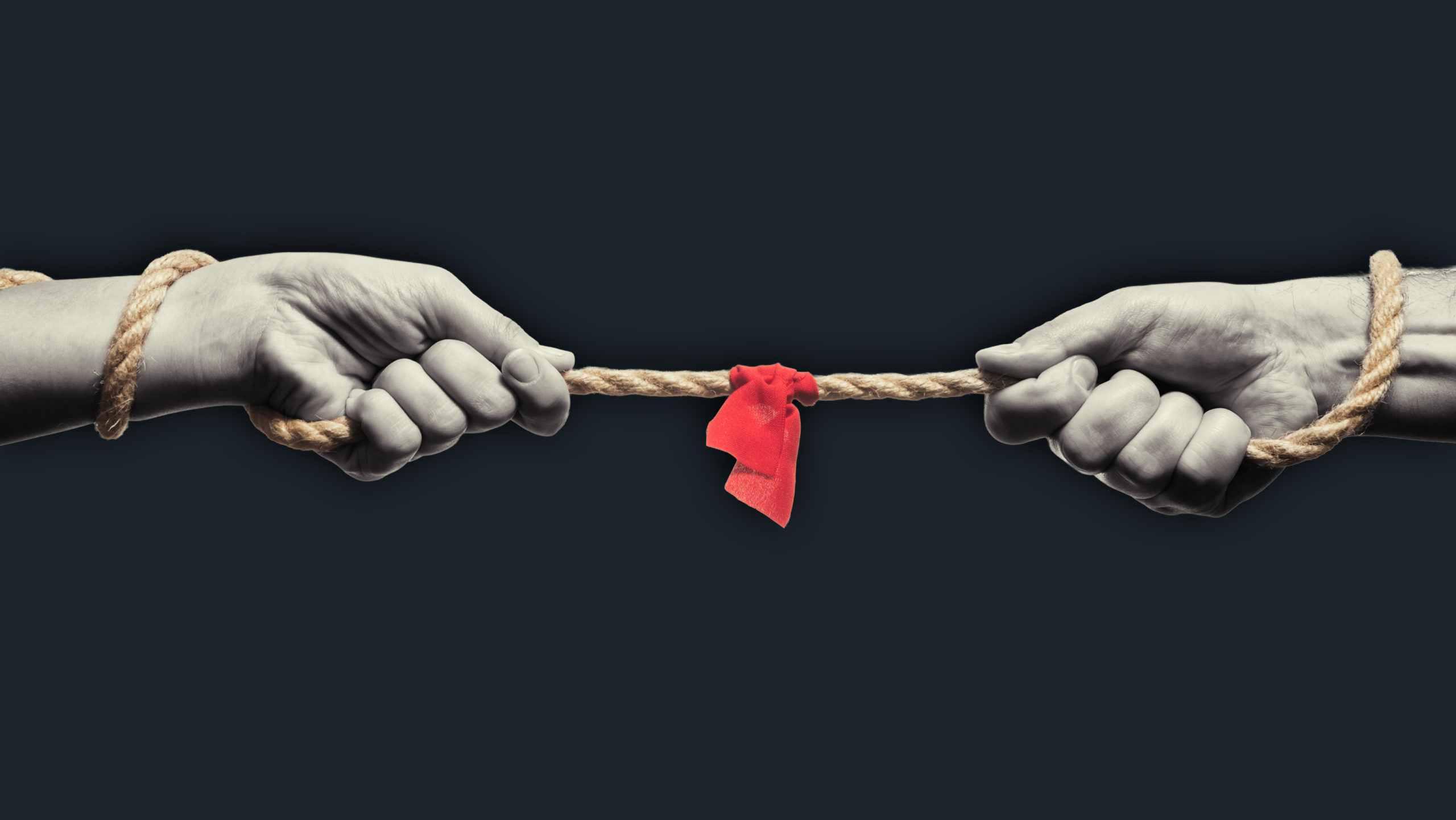 The social media paradox